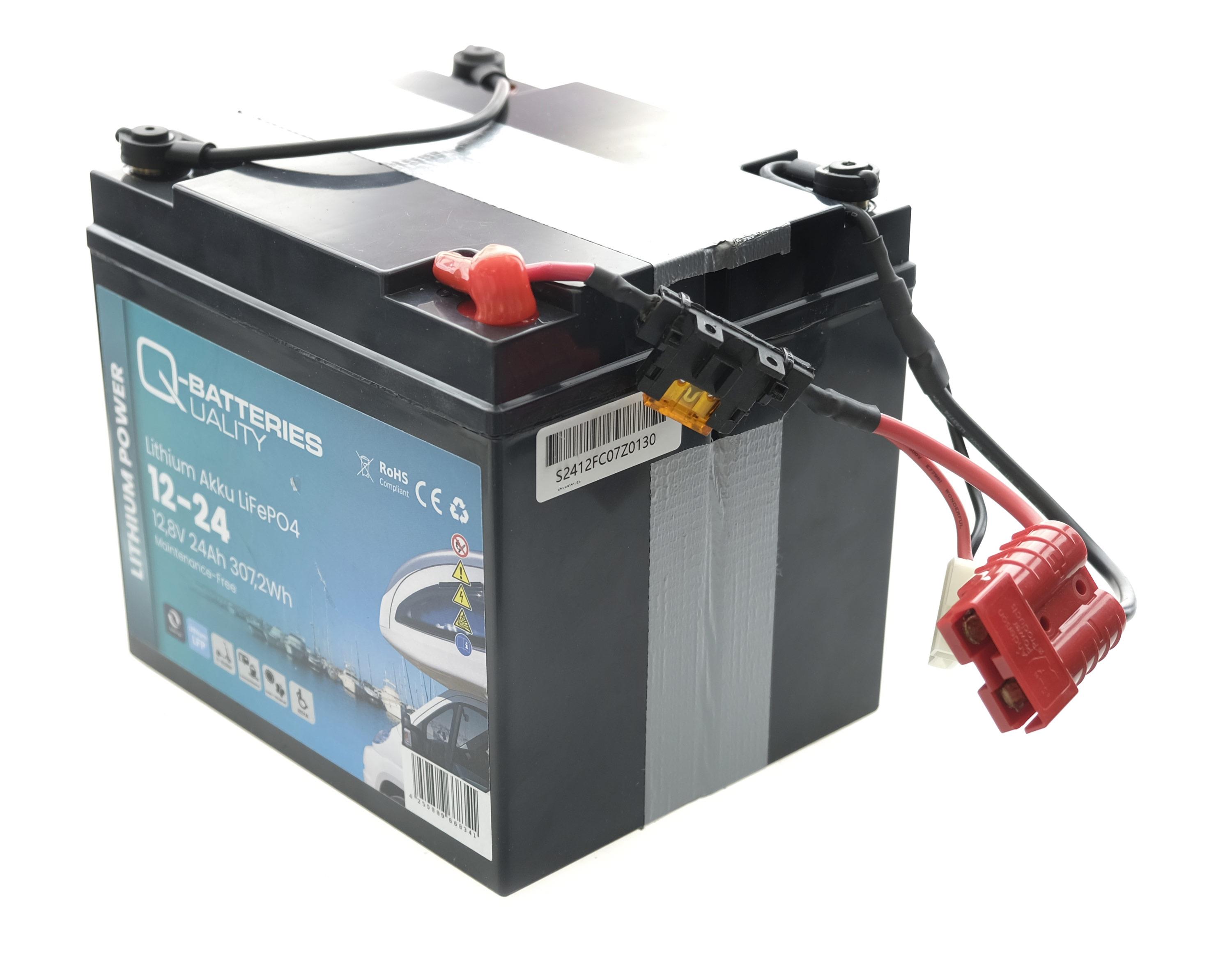 25,4V (24V) Akkupack Lithium Akku LiFePO4