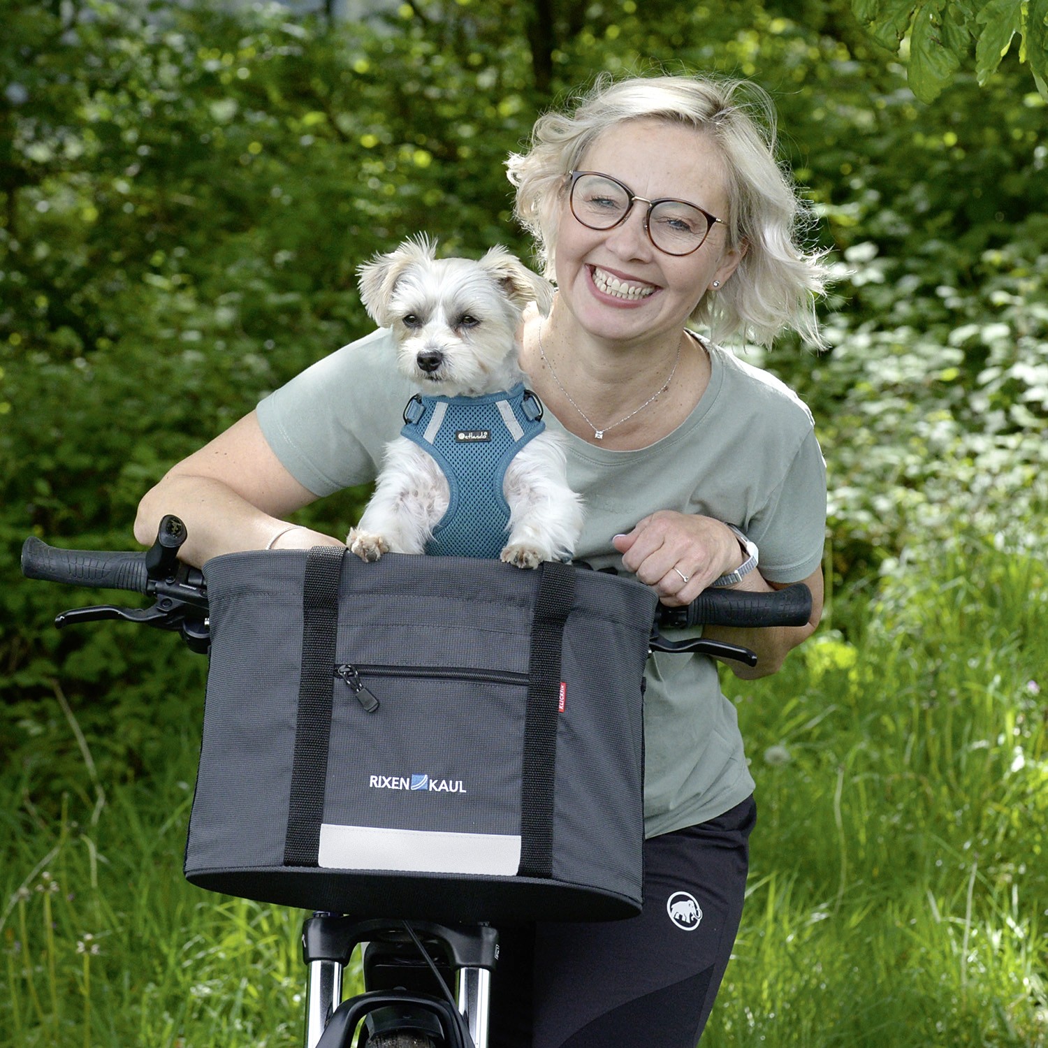 KLICKfix®  Korbtasche Doggy Hundefahrradtasche