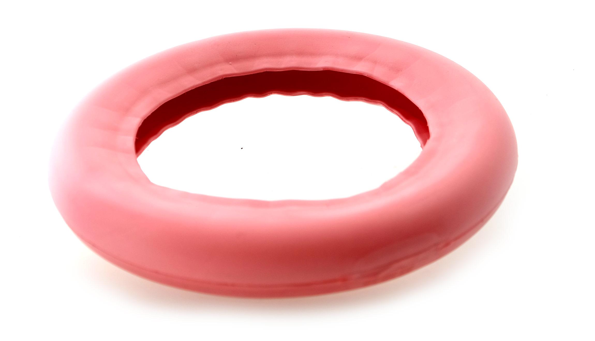 10" Pannenschutzeinlage für E-Scooter Schlauchreifen 10" Pannenschutzeinlage für E-Scooter Schlauchreifen