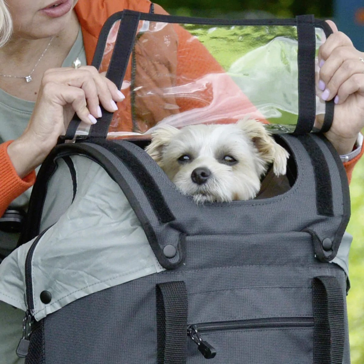 KLICKfix®  Korbtasche Doggy Hundefahrradtasche