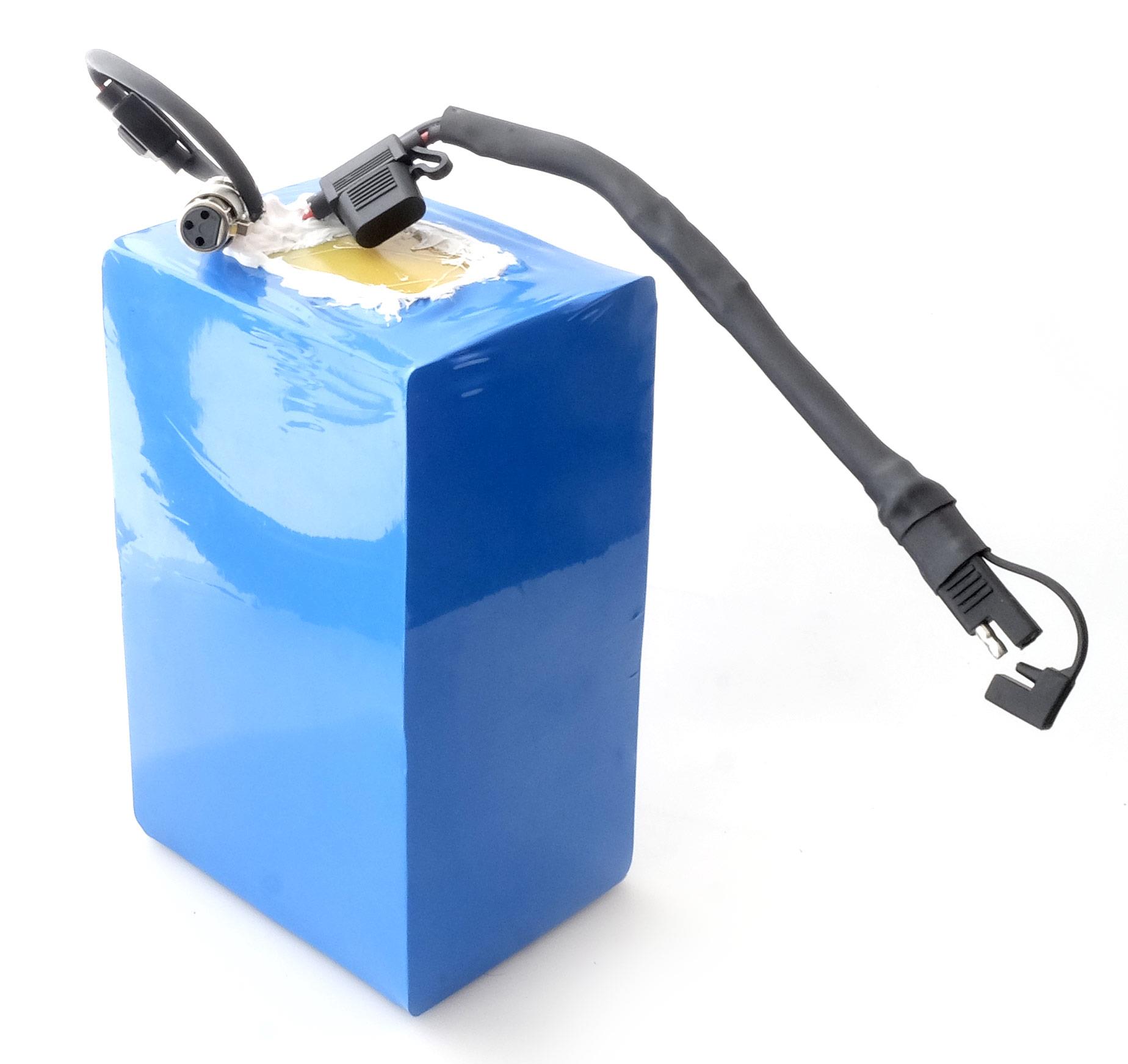 LiIon Akku 36V 30Ah für SFM Oliver 500 oder Tante Paula Ferdinand - Maximilian