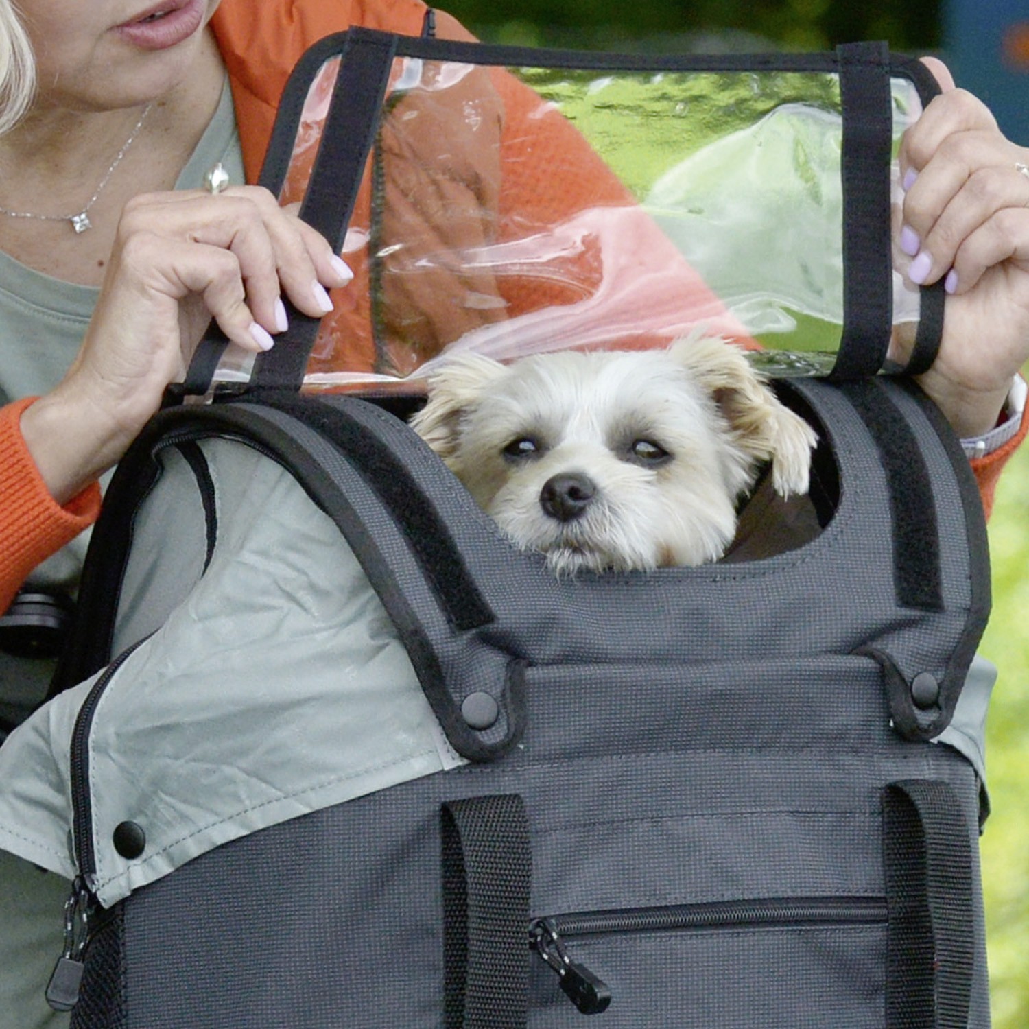 KLICKfix®  Korbtasche Doggy Hundefahrradtasche